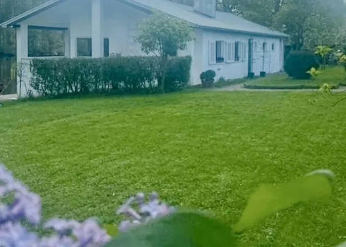 House With Private Dock At Nature Reserve *
